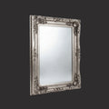Decorative baroque-inspired wall mirror with ornate silver detailing and classic styling.